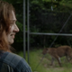Image for article titled At Last, Zoo Claws Its Way to an Appropriately Silly and Insane Finish
